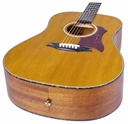 Bromo BAN1V Denali Series Dreadnought Guitarra Acústica 1